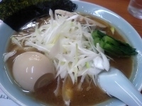 「魚介節系とんこつラーメン+ネギ、味玉」@梨の花の写真