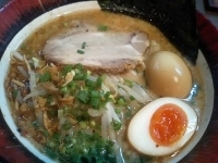「醤油ラーメン+味玉」@鶏坊やの写真