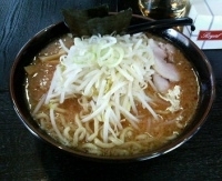 「うま辛醤油（大）」@ハッスルラーメンホンマ 浅草店の写真