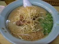 「ネギラーメン」@ら〜めん村田屋の写真