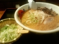 「ドラドラ」@桜吹雪が風に舞う 新宿店の写真