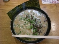 「博多らーめん まる 630円」@博多ラーメン 高菜の写真