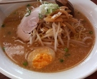「こく味噌ラーメン（背脂入り）660円」@らーめん どん国の写真
