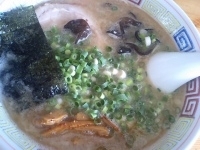 「長浜ラーメン（バリカタ） 600円」@ハングリードラゴンの写真