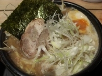 「横浜醤油ラーメン （大盛）」@究極のらーめん屋 がっつ 亀戸店の写真