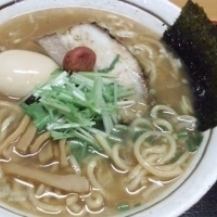 「中華そば 塩（太麺）」@喜奴屋 福生店の写真