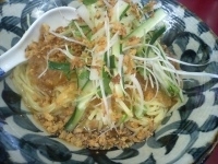 「がんこや辛味おろし麺（750円）」@がんこや かるがんラーメン 千代田本店の写真