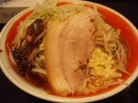 「肉そば（醤油）大盛（野菜ニンニク）」@自家製麺 てんかの写真