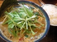 「海豚カレー麺大盛+特濃+小ライス（780円+170円+50円）」@ラーメン猪太の写真