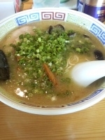 「03長浜塩ラーメン（こってり）（麺茹で5秒） + 12替え玉（麺」@ハングリードラゴンの写真