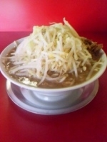 「ラーメン+ヤサイ」@ジャンクガレッジ 東大宮店の写真