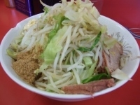 「汁なし豚マシ（ニンニクヤサイダブル+魚粉） 700円」@ラーメン二郎 環七一之江店の写真