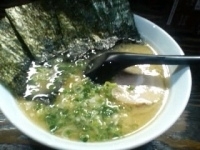 「豚骨醤油ラーメン（650円）」@豚骨醤油 蕾の写真