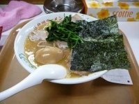 「ほうれん草チャーシュー+味玉・味濃いめ・油多め」@江戸川ラーメン 角久の写真
