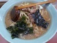 「ネギラーメン+メンマチャーシュー丼」@ラーメン かいざんの写真