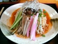 「冷し担々麺（夏季限定） ￥880」@麺と茶屋 かっぺらあめん 相田店の写真