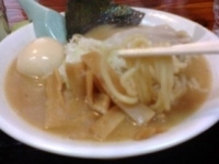 「味玉ラーメン」@大黒屋本舗 野田店の写真