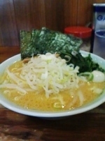 「味噌ラーメン（麺硬め、脂多め、味濃いめ）780円」@壱六家 大森店の写真