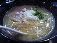 「鶏そば」@麺堂 稲葉の写真