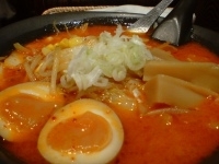 「辛みそらぁめん（+大盛り、+半券味玉（梅））」@北の大草原 亀戸店の写真