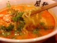 「エスニック坦々麺980円」@中華そばダイニング 風雅の写真