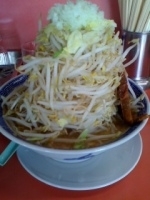 「ふじ麺+野菜タワー」@獅子王の写真