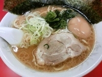 「味玉ラーメン（太麺）[730円]」@鹿島家 大森店の写真
