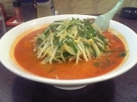 「どらごんラーメン」@中華食道どらごんの写真