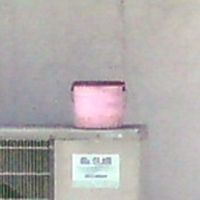 「らーめん」@博多元気一杯‼︎の写真