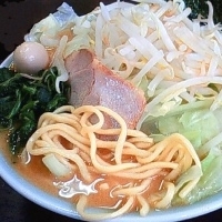 「味噌ラーメン+キャベツ （780円+50円）」@壱六家 大森店の写真