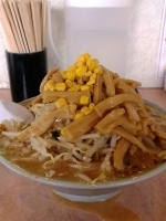 「味噌ラーメン￥650+メンマ￥100+もやしダブル￥100」@サッポロラーメン羆 龍舞店の写真