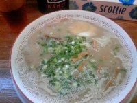 「だるまラーメン（ハリガネ）￥680 替え玉（ハリガネ）￥100」@だるま大使 本店の写真