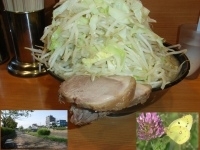 「大ラーメン（ニンニク、ヤサイ、麺マシ）」@ラーメン二郎 八王子野猿街道店2の写真