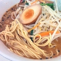 「味噌ラーメン (540円)」@ラーメン大学 蒲田店の写真