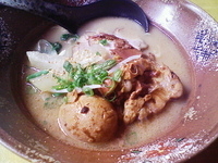 「河内鴨らーめん（全トッピング）」@HABIKINOほんてんラーメンの写真