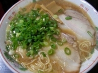 「ラーメン こってり(大盛り)」@珍遊の写真