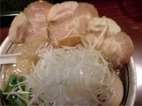 「旬ラーメン（こってり）（大盛り）」@麺屋 旬の写真