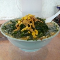 「味噌ラーメン（大盛）+ワカメ」@サッポロラーメン羆 龍舞店の写真