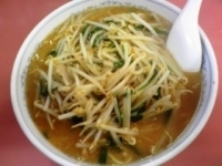 「スタミナラーメン 中太麺 大盛 650円」@あんどれかんどれの写真