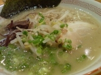 「魂麺白 赤玉」@魂麺の写真