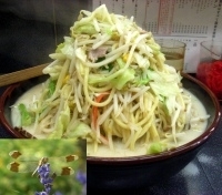 「チャンポン+替え玉」@博多どんたくの写真