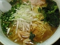 「魚塩らーめん（700円）・大盛り（100円）」@麺屋 亥龍の写真