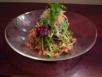 「勇式坦々涼麺「冷やし担々麺」」@中国麺飯 勇の写真