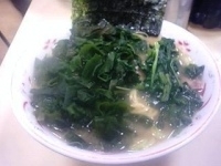 「わかめらーめん中（麺固め） 800円」@こうやの写真