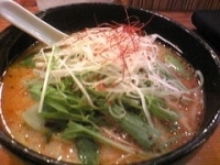 「森の幸ごま辛らーめん【800円】」@一本槍 大森店の写真