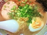 「05 醤油豚骨らーめん+19 辛玉（象さんSP）+替玉」@ハングリードラゴンの写真