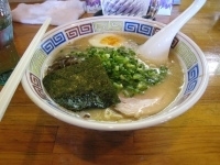 「長浜ラーメン カタメ 600円+替え玉 150円+カレー粉 50」@ハングリードラゴンの写真