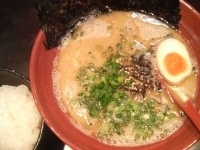 「ここだけラーメン太麺（硬め）￥680+小ライス（ランチサービス）」@江東橋二丁目 ここだけらー麺 第三章の写真