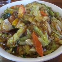 「スタミナ冷やし（ダブル） 800円+餡多め 50円」@スタミナラーメン がむしゃの写真