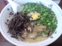 「とんこつラーメン 大盛り800円」@熊本ラーメン みち丸の写真